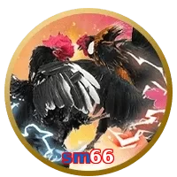 sm66