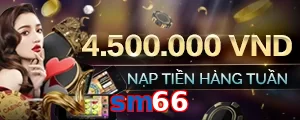 sm66