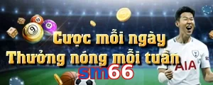 sm66