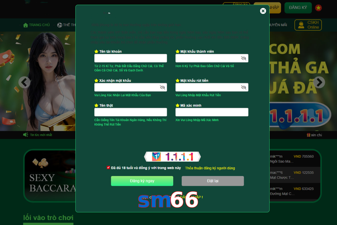sm66